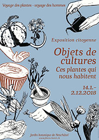 Exposition citoyenne : Objets de cultures. Exposition citoyenne : Objets de cultures.