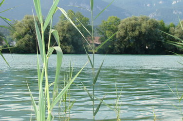 Aarhof - 1