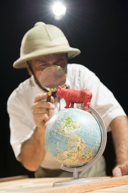 Das rote Nashorn (Foto Werner Rolli)