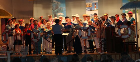 Konzert "MS amici" 2015