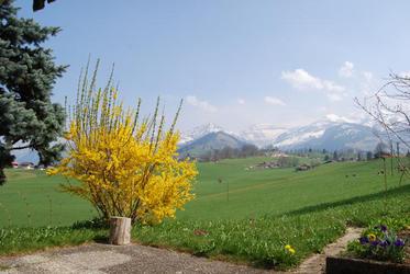 Chalet Alouette - 1