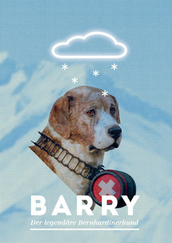 Barry - der legendäre Bernhardinerhund - 1