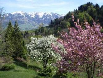 Aussicht
