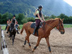 Reitstunden - 1
