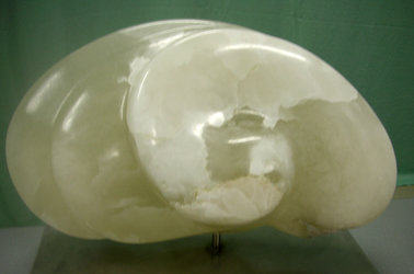 Muschel, Alabaster
