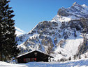 Chalet Bijou (4 Zimmer) - 1