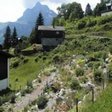 Alpenkräutergarten - 1
