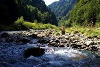Sense- oder Schwarzwassergraben - 1