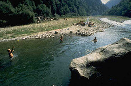 Sense- oder Schwarzwassergraben - 1