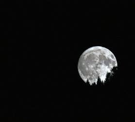 Vollmond-Schneeschuhtour ein Abenteuer für Naturliebhaber und Romantiker