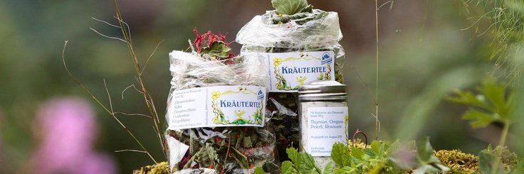 Alpenkräutergarten - 1