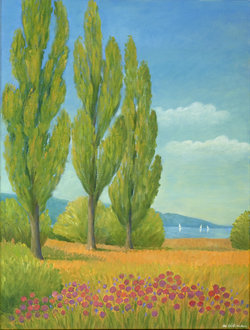 Am Greifensee