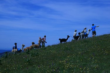 Trekking Team Event